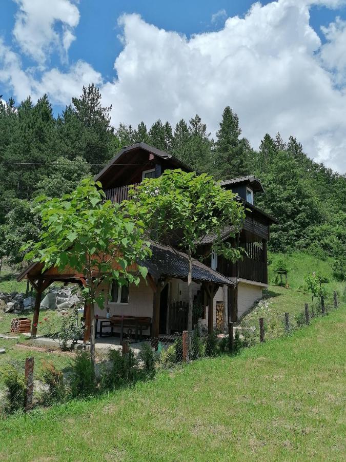 Vikendica moonlight Villa Zaovine Buitenkant foto