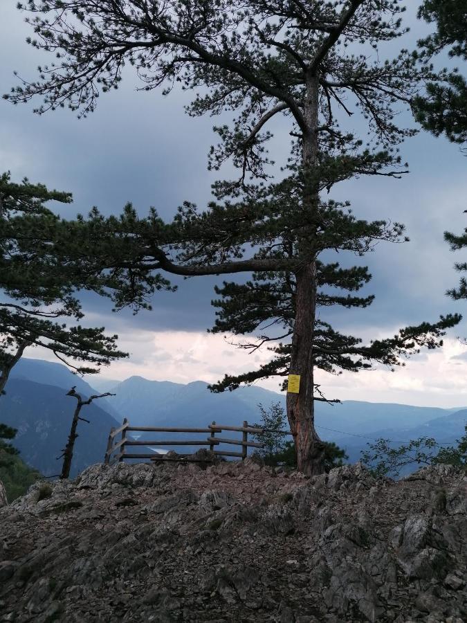 Vikendica moonlight Villa Zaovine Buitenkant foto
