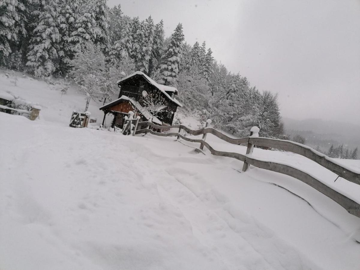 Vikendica moonlight Villa Zaovine Buitenkant foto